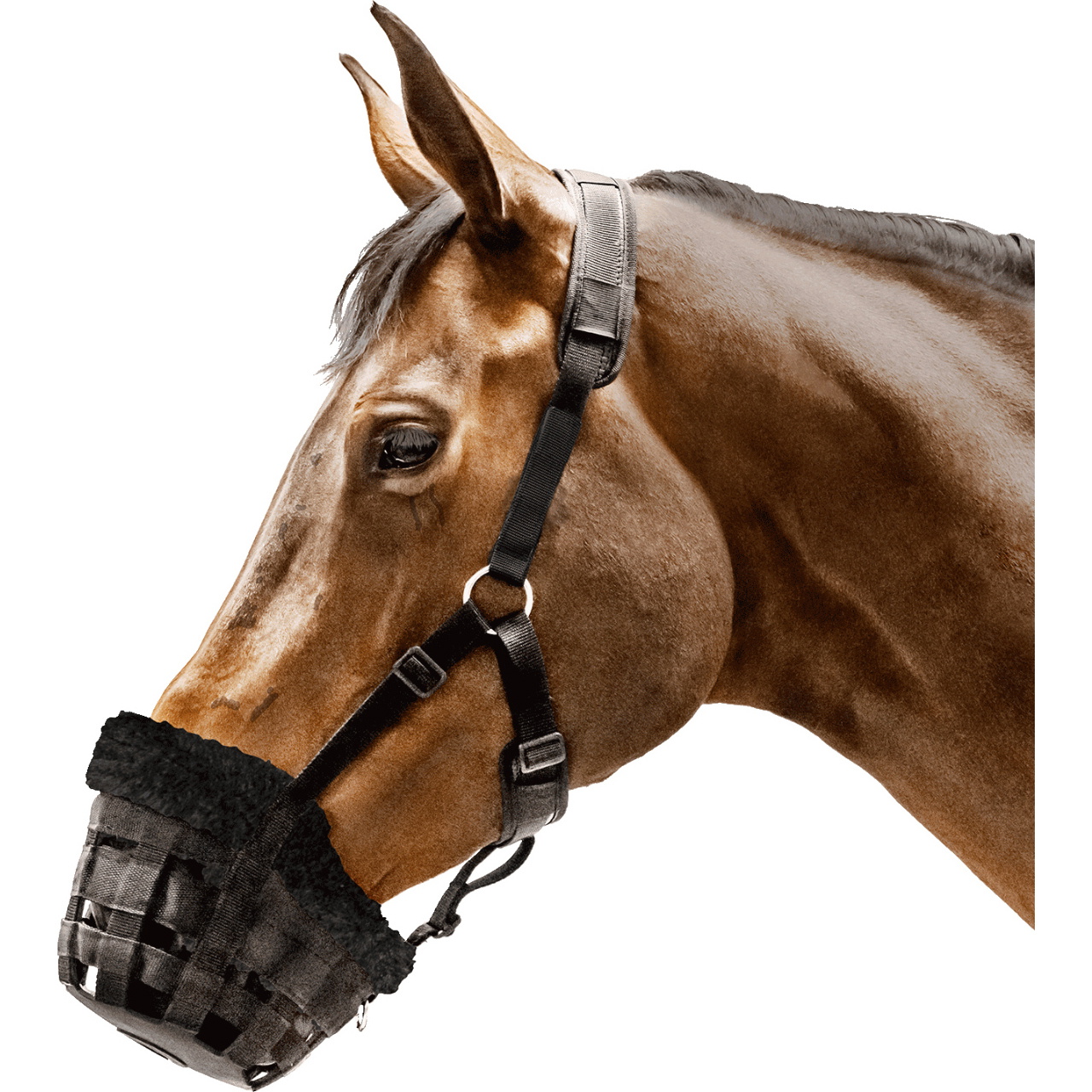 2026 Waldhausen Muzzle Comfort 5726701 - Black
